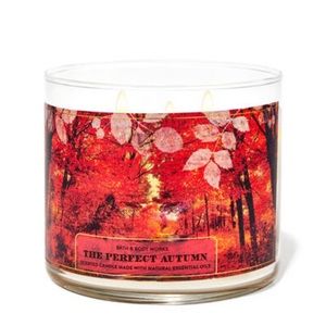 The perfect autumn 🍂 3- wick candle